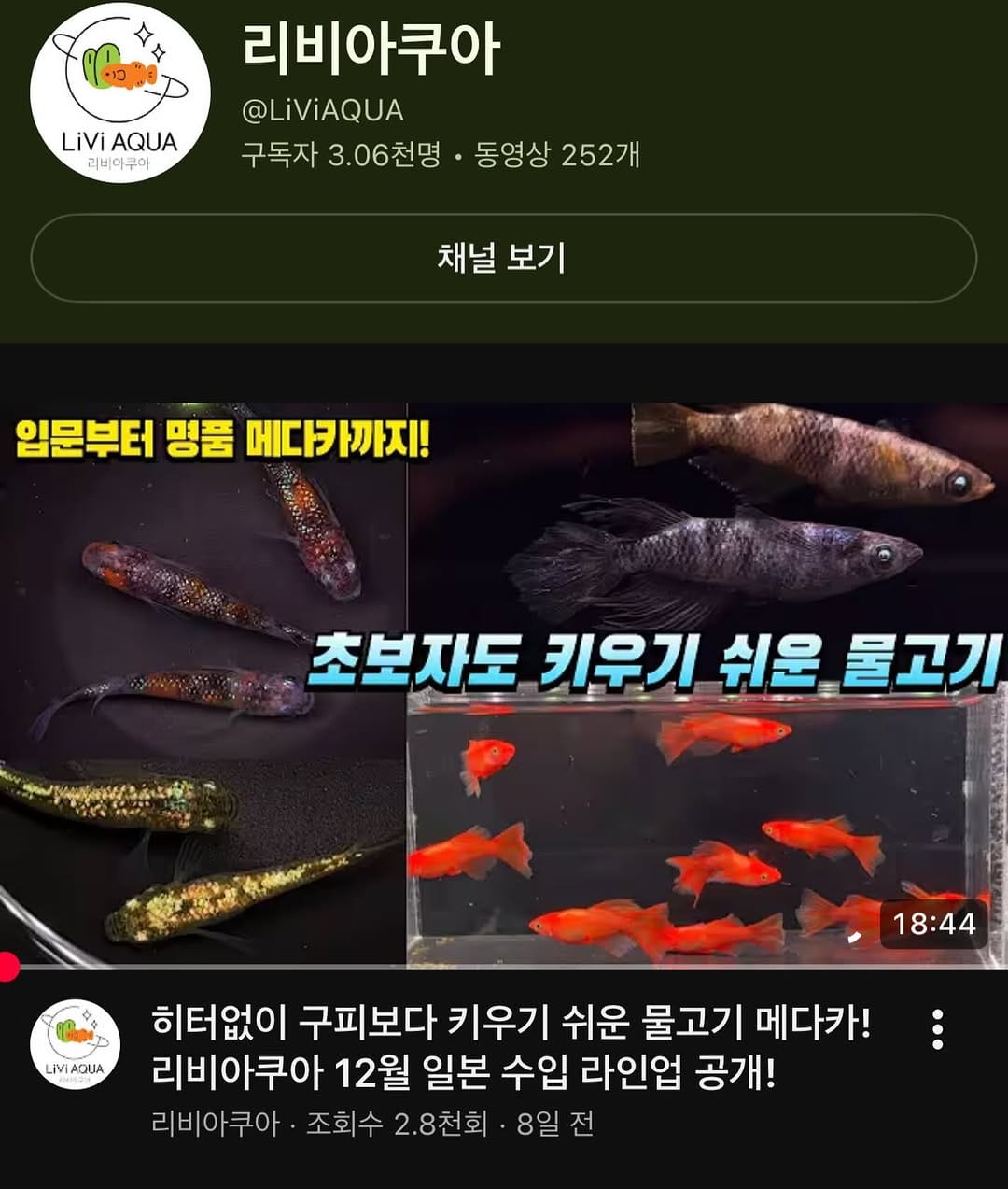 Post 5 by 리비아쿠아 ( 대구 메다카 전문점 )🇰🇷 on Instagram (image)
