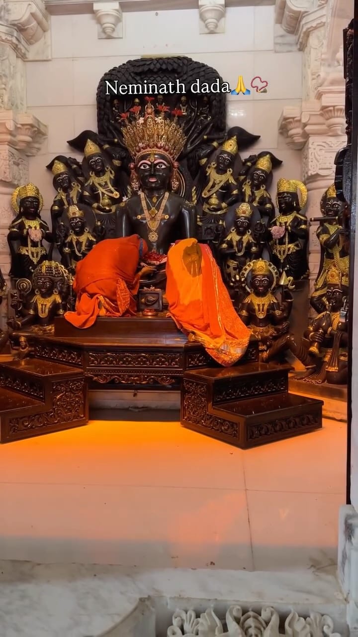 Post 5 by priyasanghvi on Instagram (video)