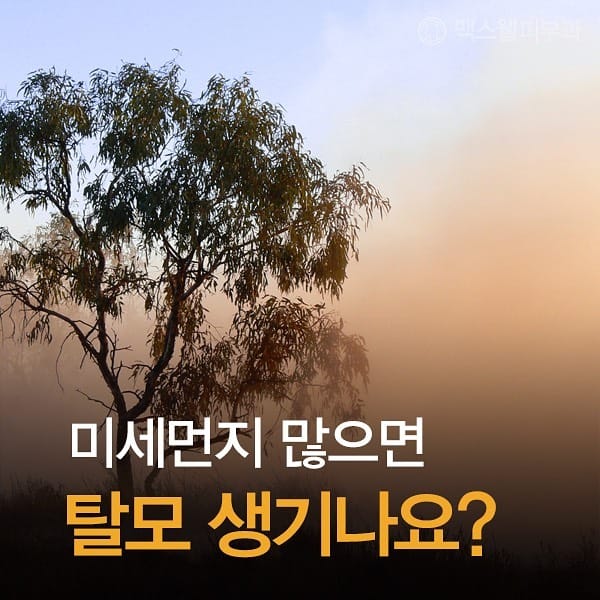 Post 8 by 맥스웰피부과 on Instagram (carousel)