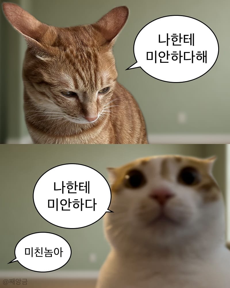 Post 8 by 째앙금 (치즈호랑이) on Instagram (carousel)