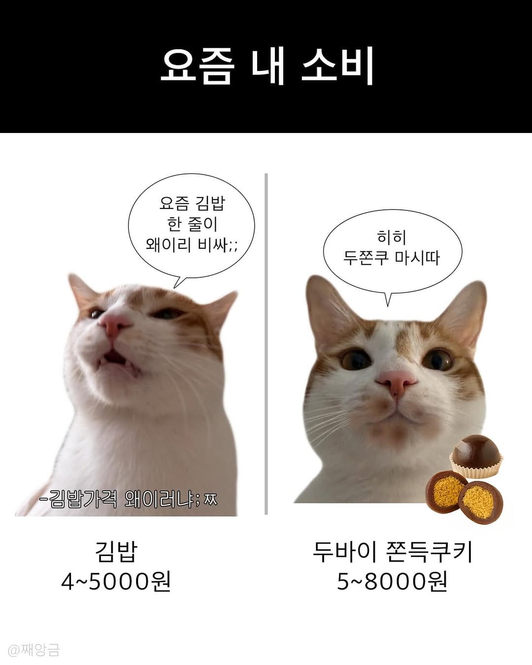 Post 5 by 째앙금 (치즈호랑이) on Instagram (image)