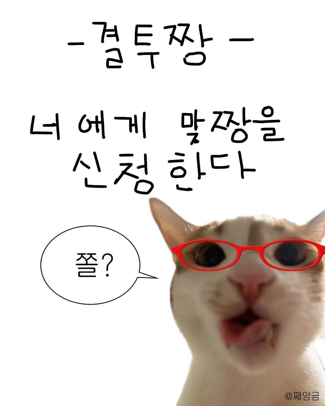 Post 10 by 째앙금 (치즈호랑이) on Instagram (image)