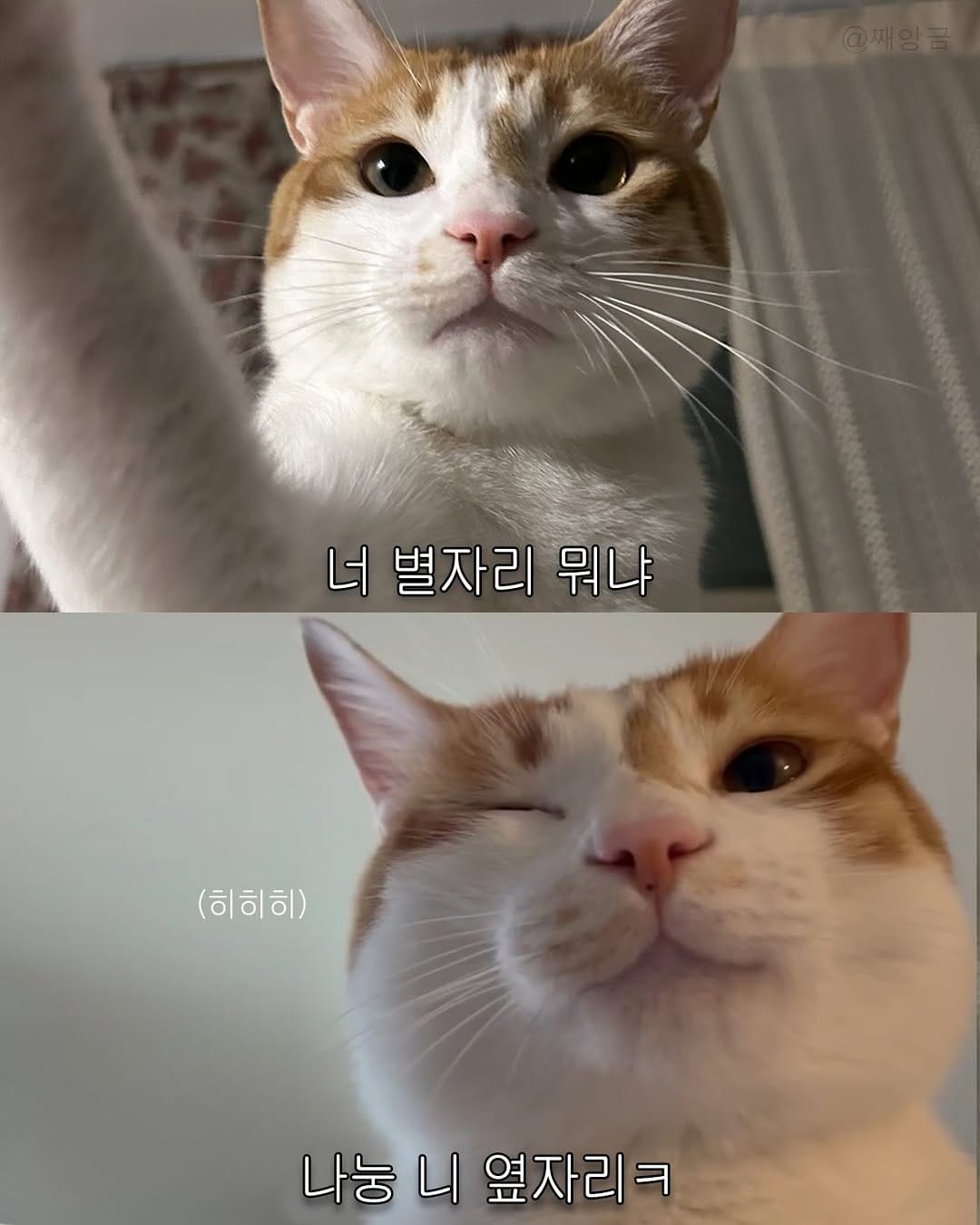 Post 4 by 째앙금 (치즈호랑이) on Instagram (carousel)