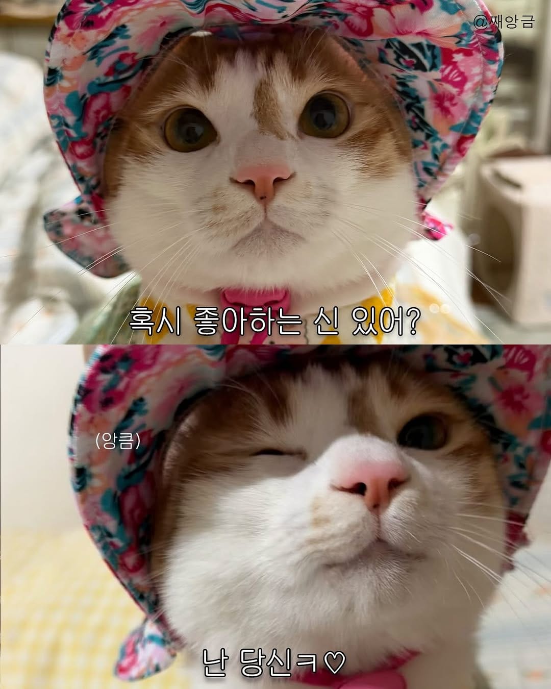 Post 7 by 째앙금 (치즈호랑이) on Instagram (carousel)