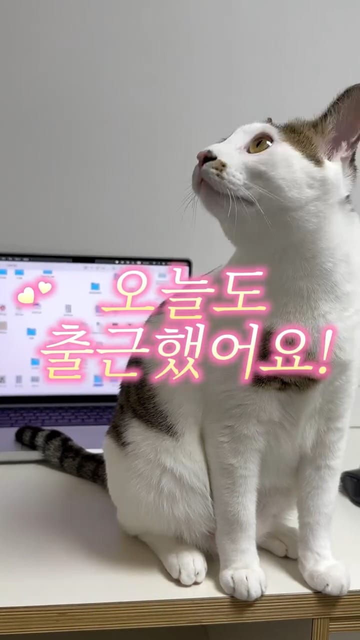 Post 7 by 스튜디홈·편집샵·인테리어소품·기프트샵 on Instagram (video)