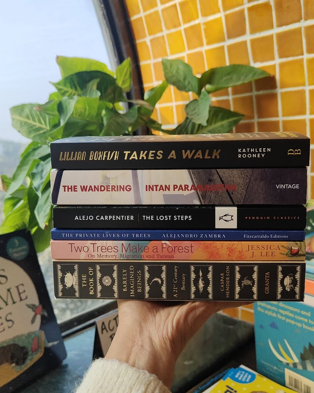 Post 3 by The Bookshop Inc on Instagram (image)