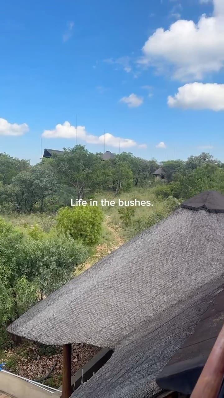 Post 2 by Cindy  Tshovhota on Instagram (video)