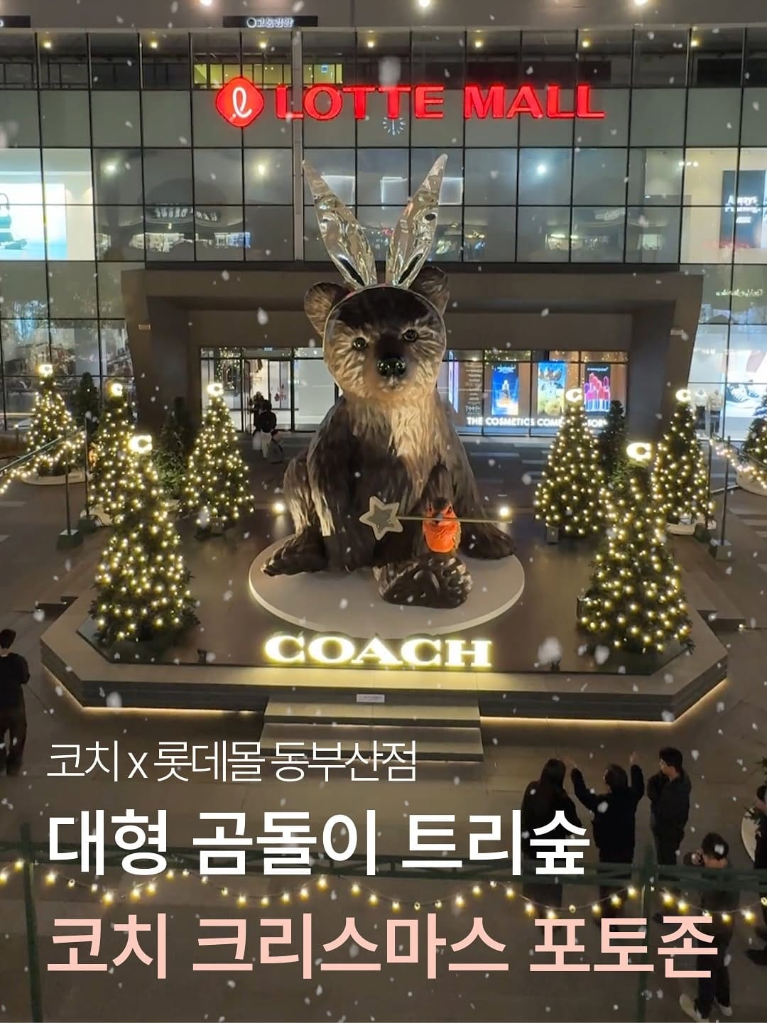 Post 4 by 롯데몰 동부산점 on Instagram (carousel)
