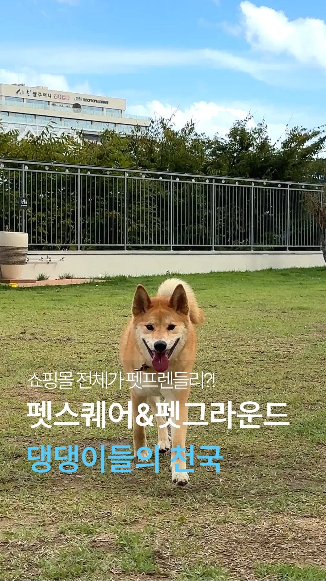 Post 8 by 롯데몰 동부산점 on Instagram (video)