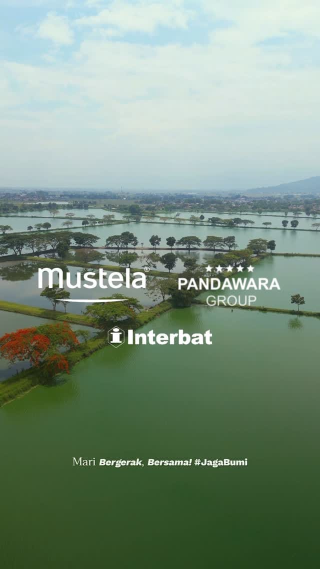 Post 10 by Mustela Indonesia on Instagram (video)