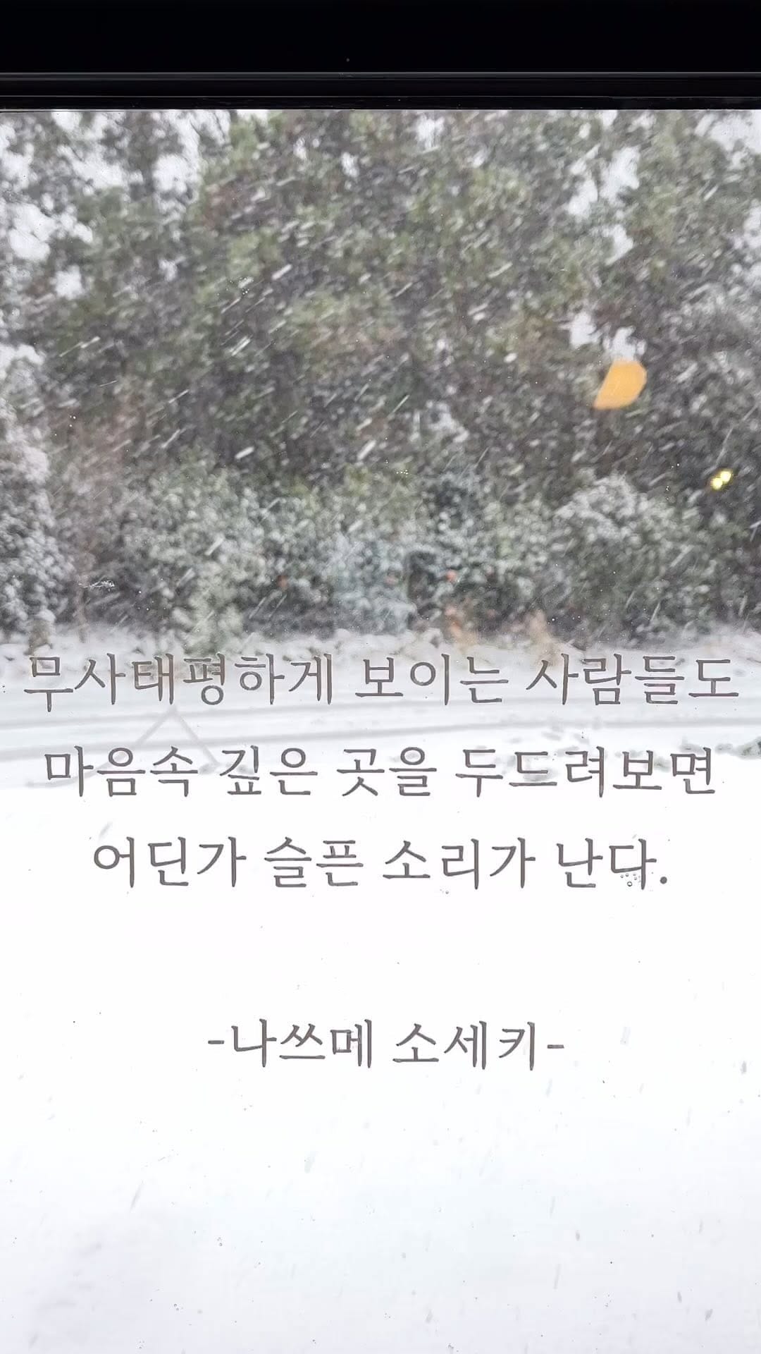 Post 9 by 책방 소리소문 on Instagram (video)