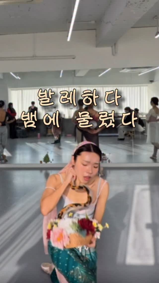 Post 1 by 댄싱마케터_하뉼🩰 | 취미발레•발레 on Instagram (video)