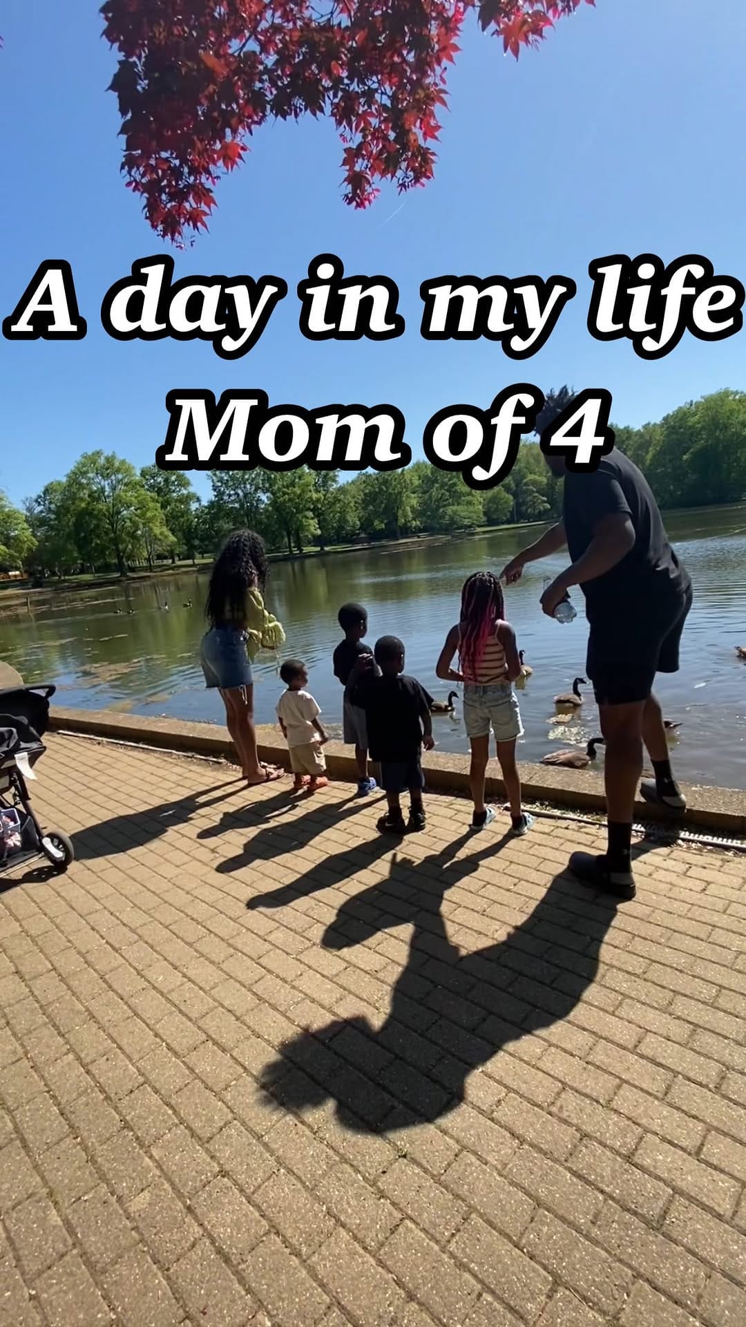 Post 8 by 𝐃𝐌𝐕 𝐋𝐀𝐒𝐇 𝐄𝐗𝐓𝐄𝐍𝐒𝐈𝐎𝐍𝐒 on Instagram (video)