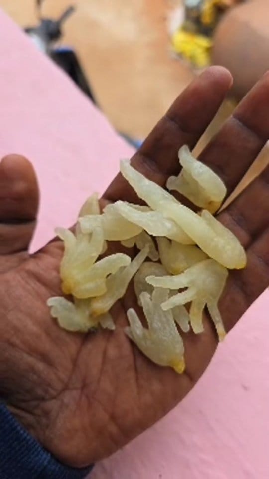Post 6 by Shevalon Varmakalai on Instagram (video)