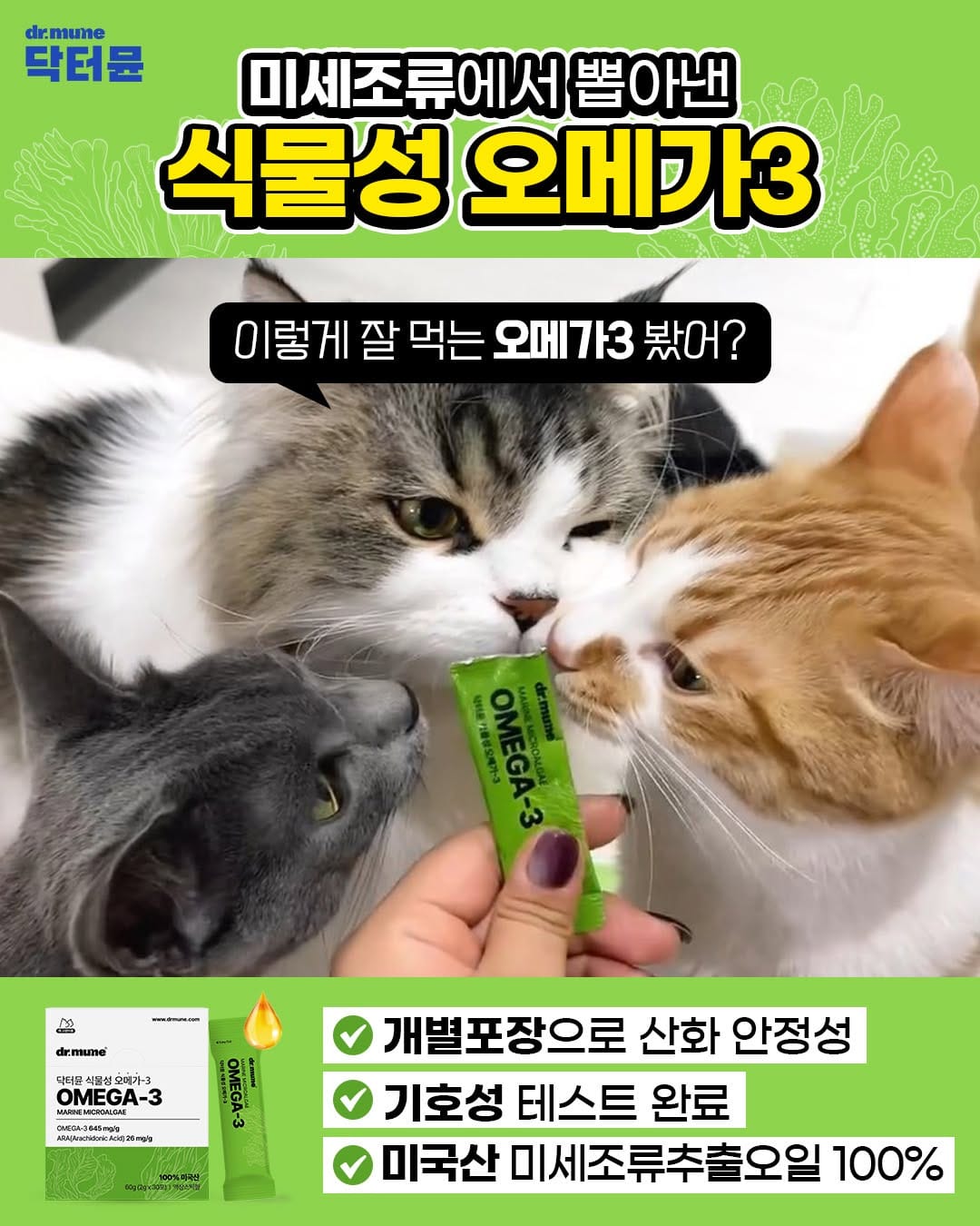 Post 4 by 닥터뮨 I dr.mune on Instagram (image)