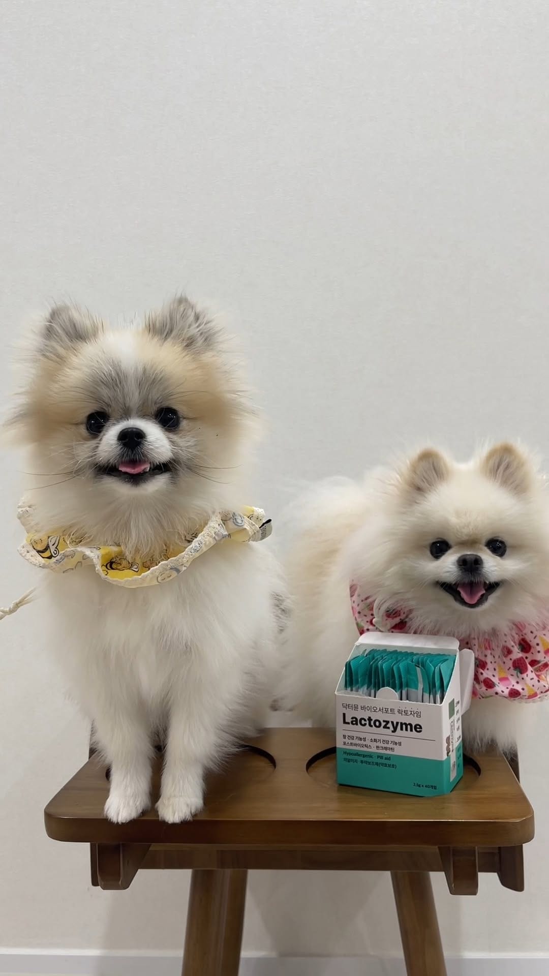 Post 3 by 닥터뮨 I dr.mune on Instagram (video)