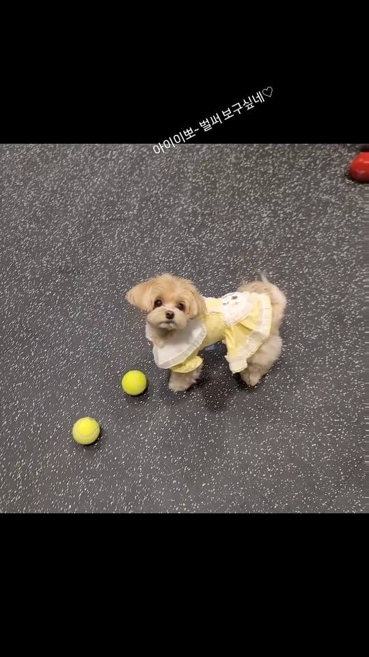 Post 6 by 미용컨설팅 반영구화장 왁싱 전문교육 / S뷰티아카데미 on Instagram (video)