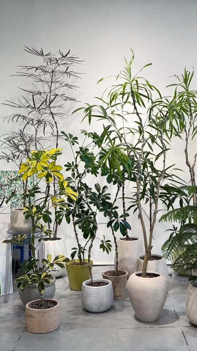 Post 8 by 무럭무럭 MULUCK MULUCK on Instagram (video)