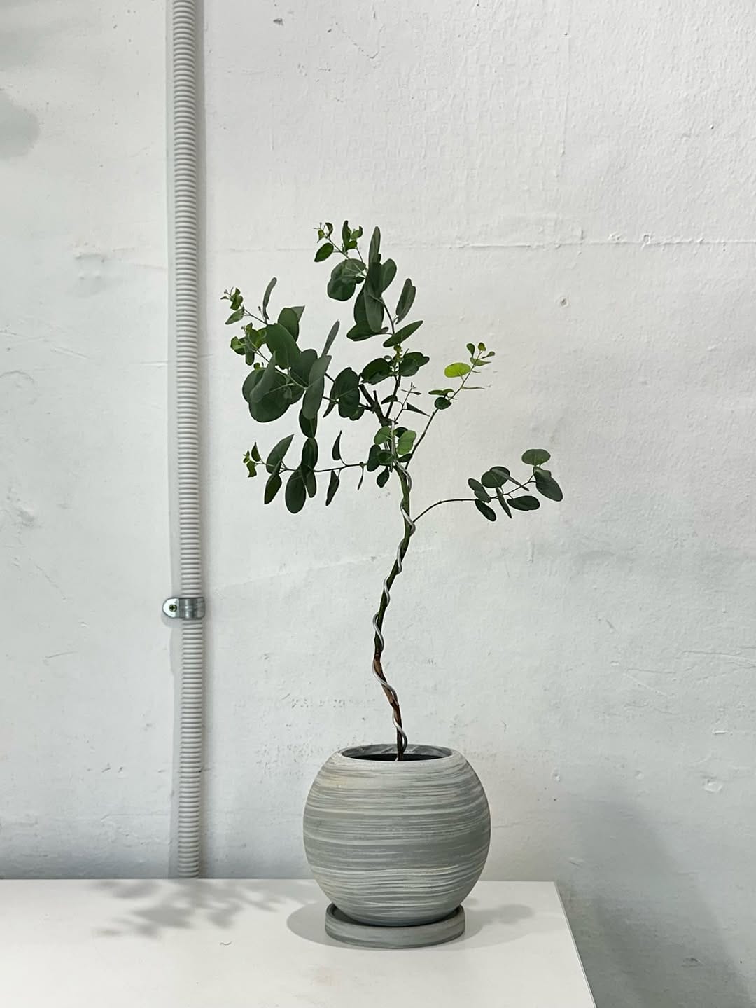 Post 5 by 무럭무럭 MULUCK MULUCK on Instagram (image)