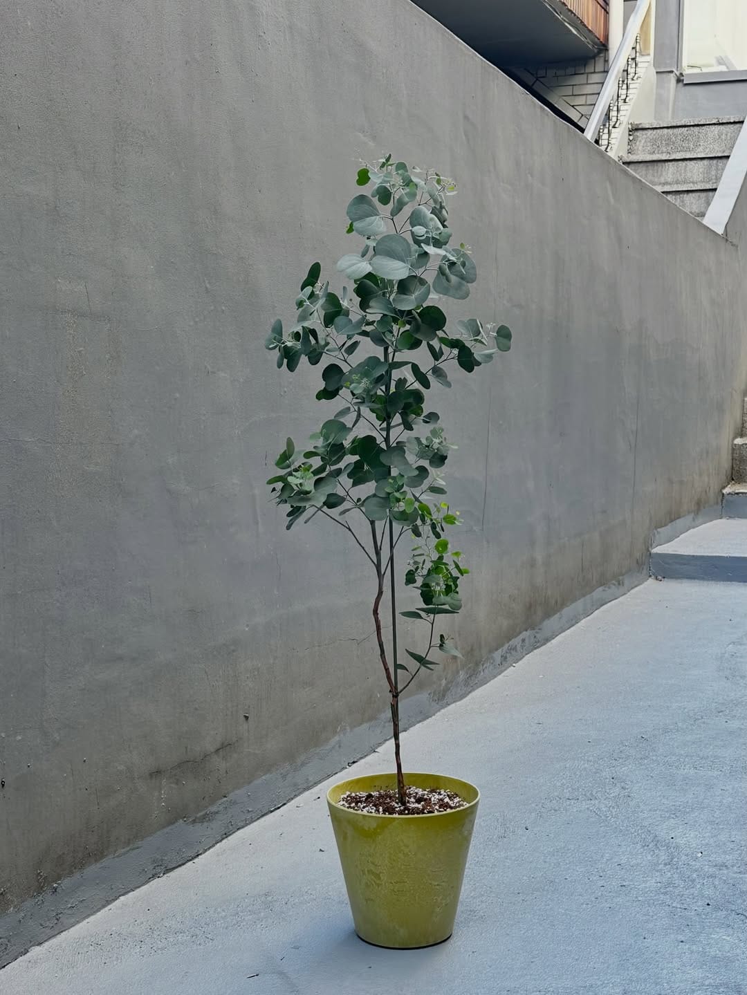Post 1 by 무럭무럭 MULUCK MULUCK on Instagram (image)