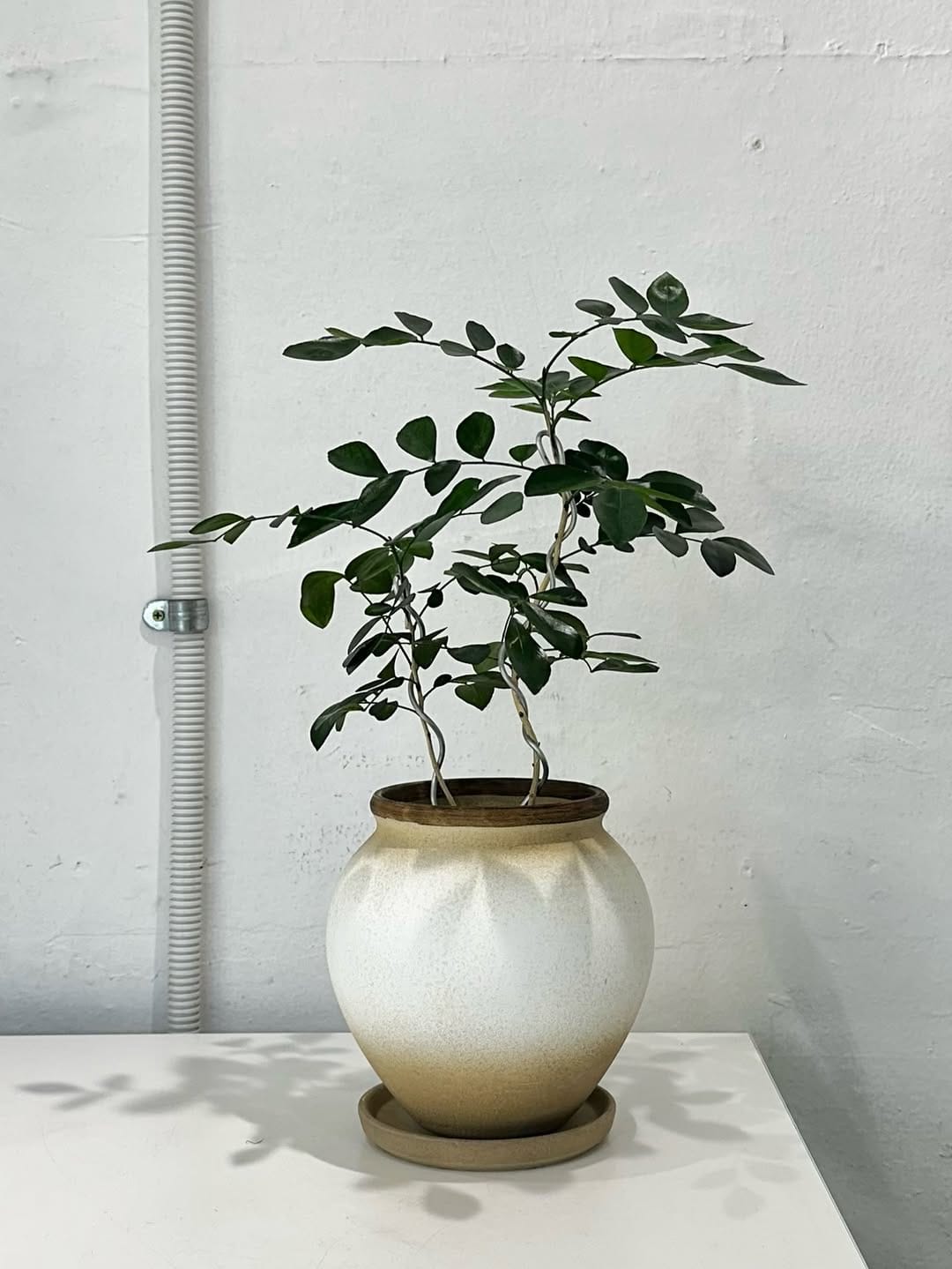 Post 3 by 무럭무럭 MULUCK MULUCK on Instagram (image)