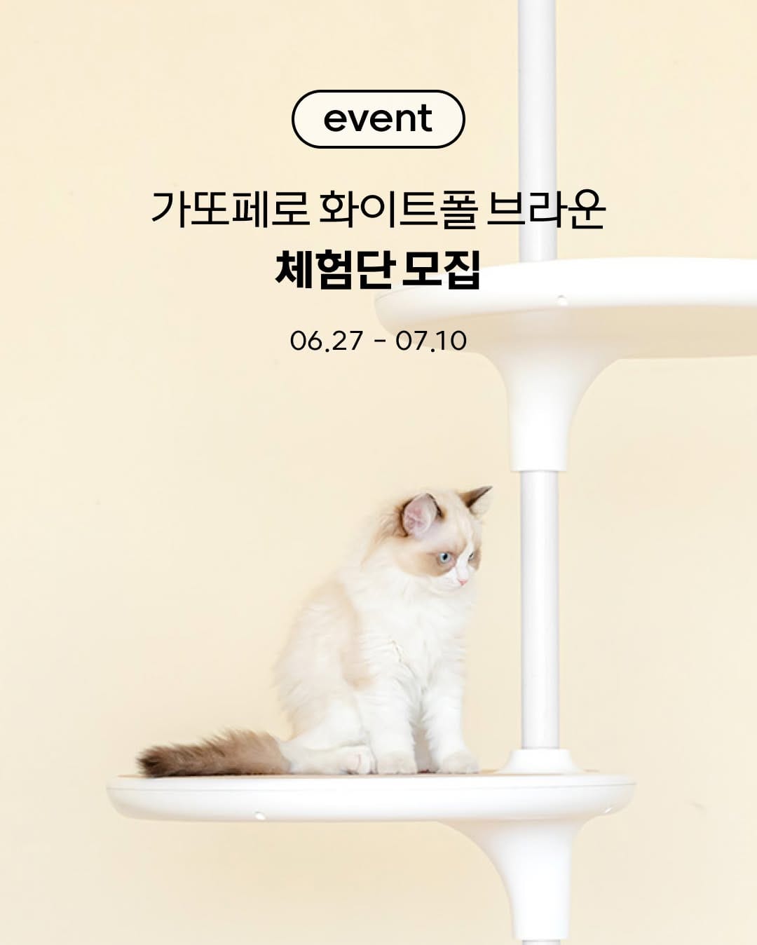 Post 10 by 고양이대통령 고양이용품 on Instagram (image)