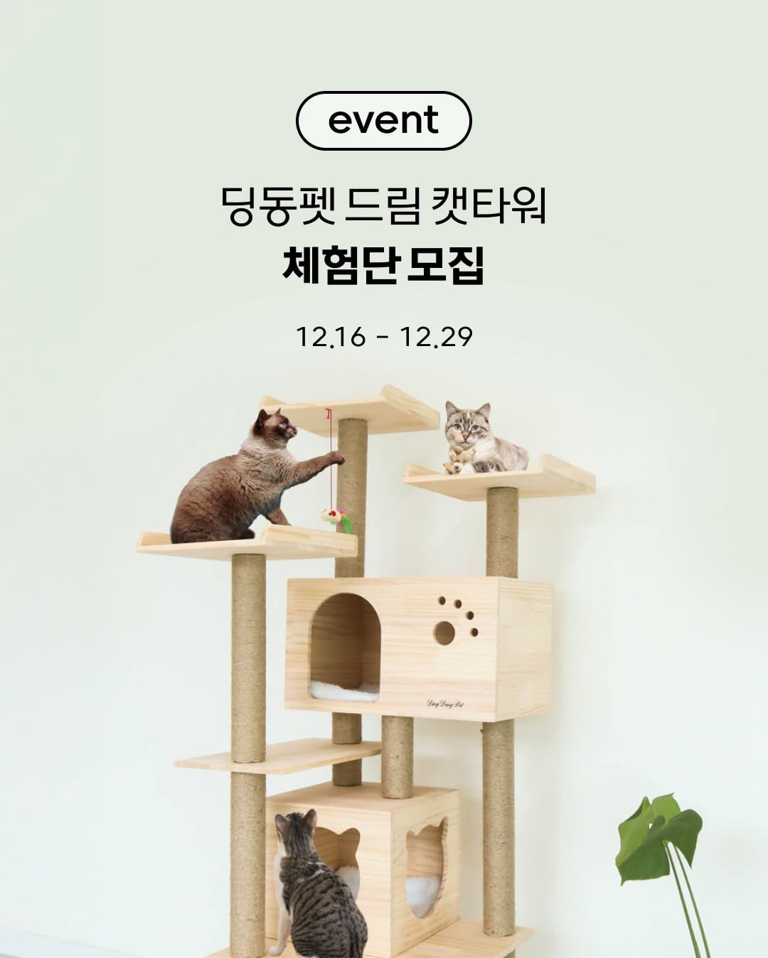 Post 5 by 고양이대통령 고양이용품 on Instagram (image)
