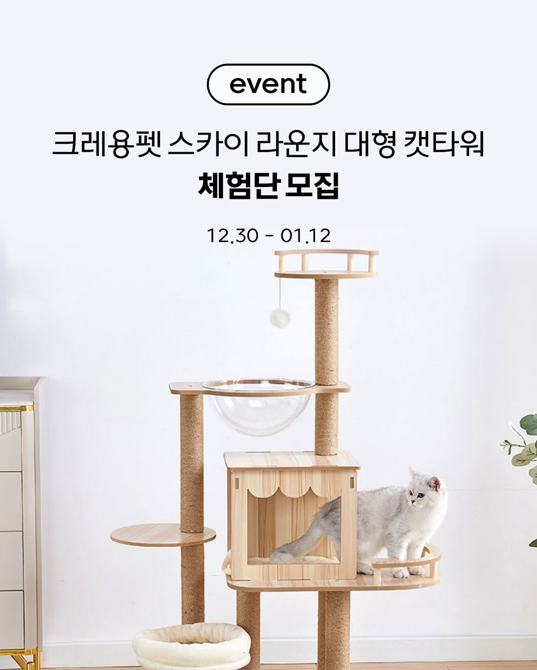 Post 4 by 고양이대통령 고양이용품 on Instagram (image)