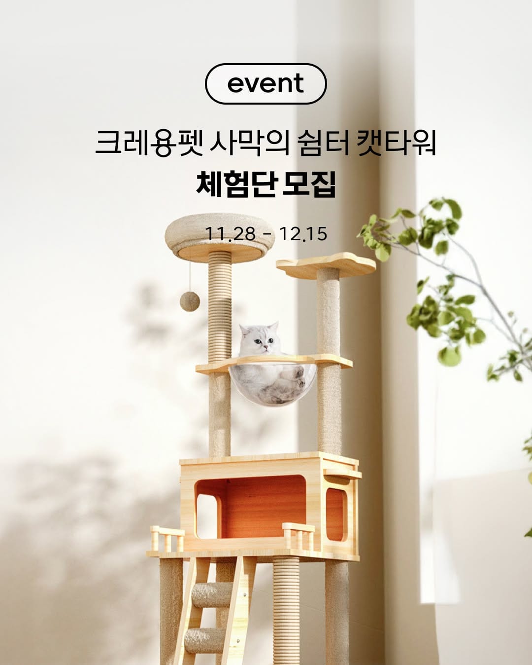 Post 7 by 고양이대통령 고양이용품 on Instagram (image)