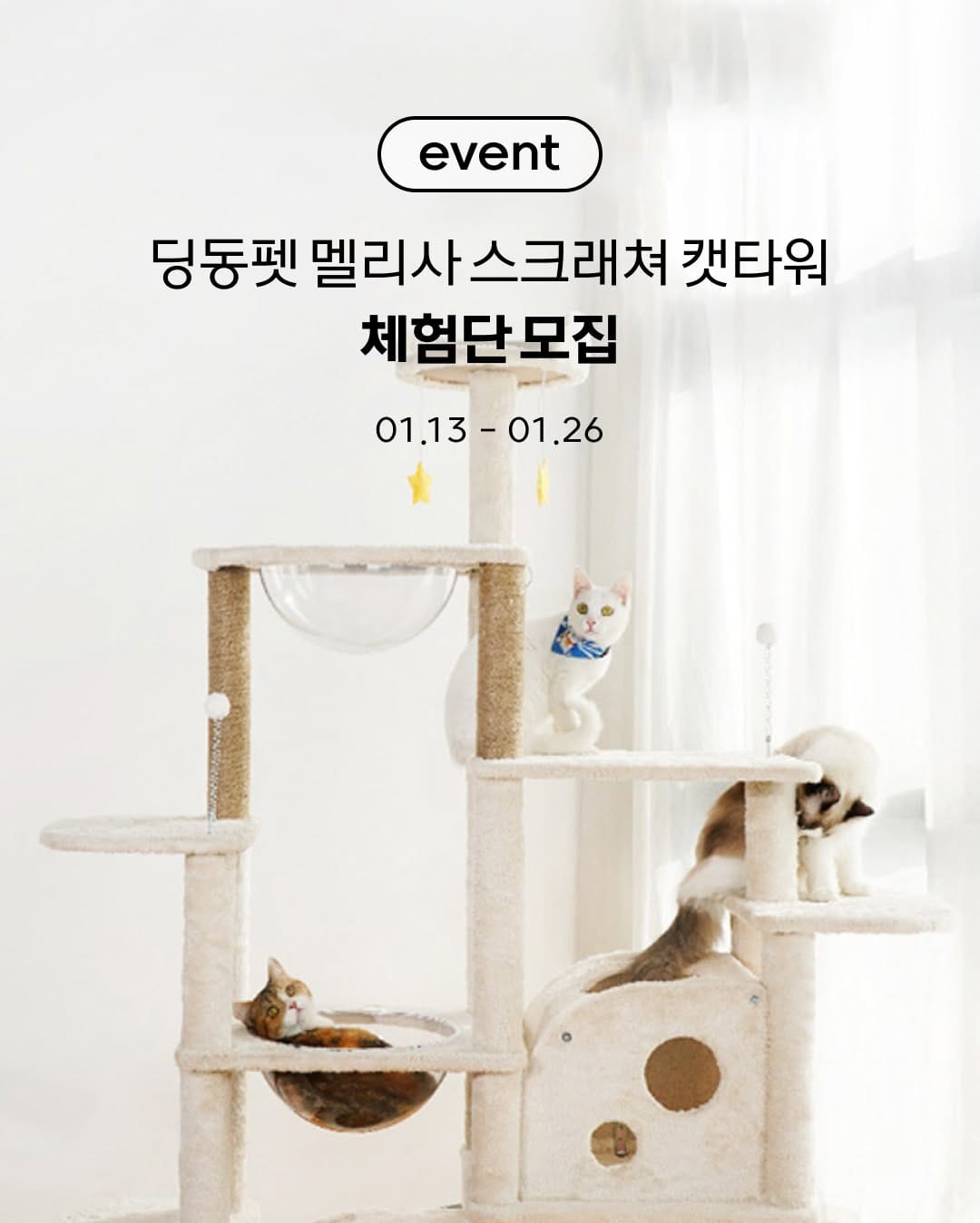 Post 3 by 고양이대통령 고양이용품 on Instagram (image)
