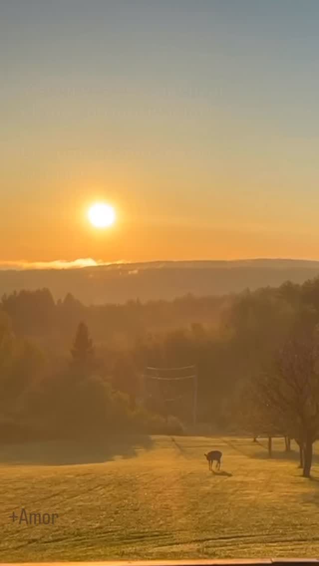 Post 5 by Angel Alvarez on Instagram (video)