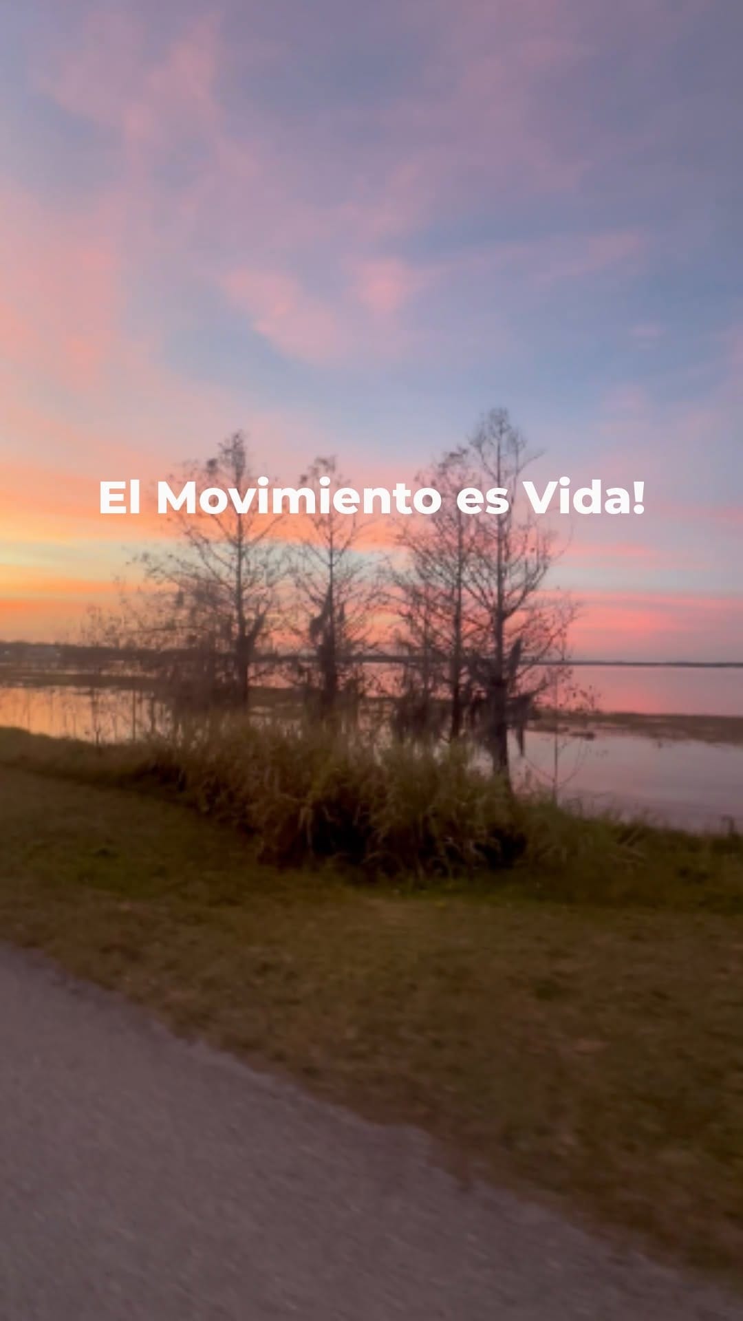 Post 2 by Angel Alvarez on Instagram (video)