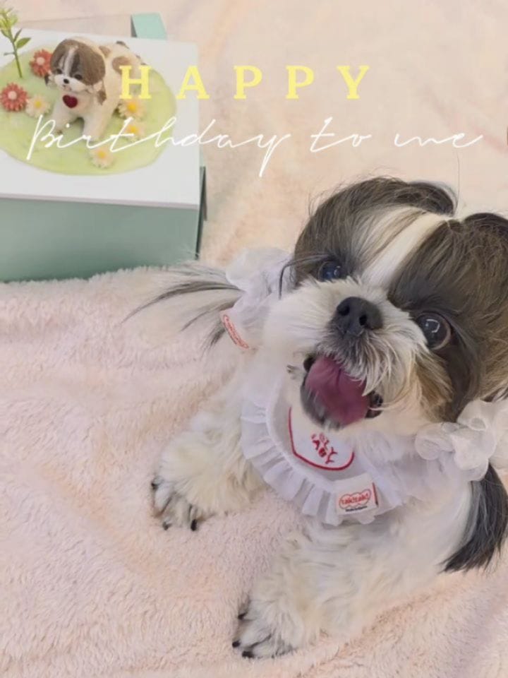 Post 5 by 아가 / 구미선 on Instagram (carousel)