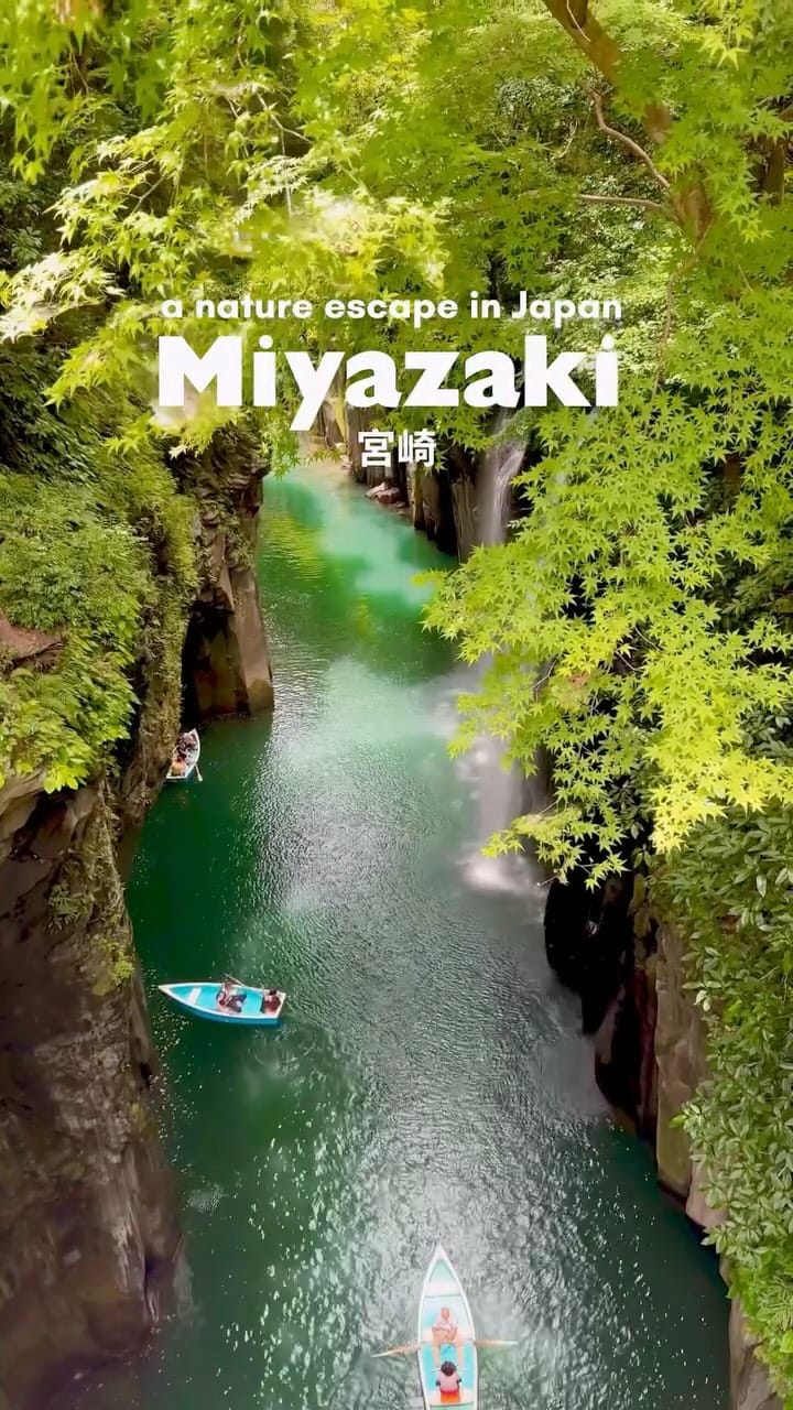 Post 8 by Sol Life on Instagram (video)