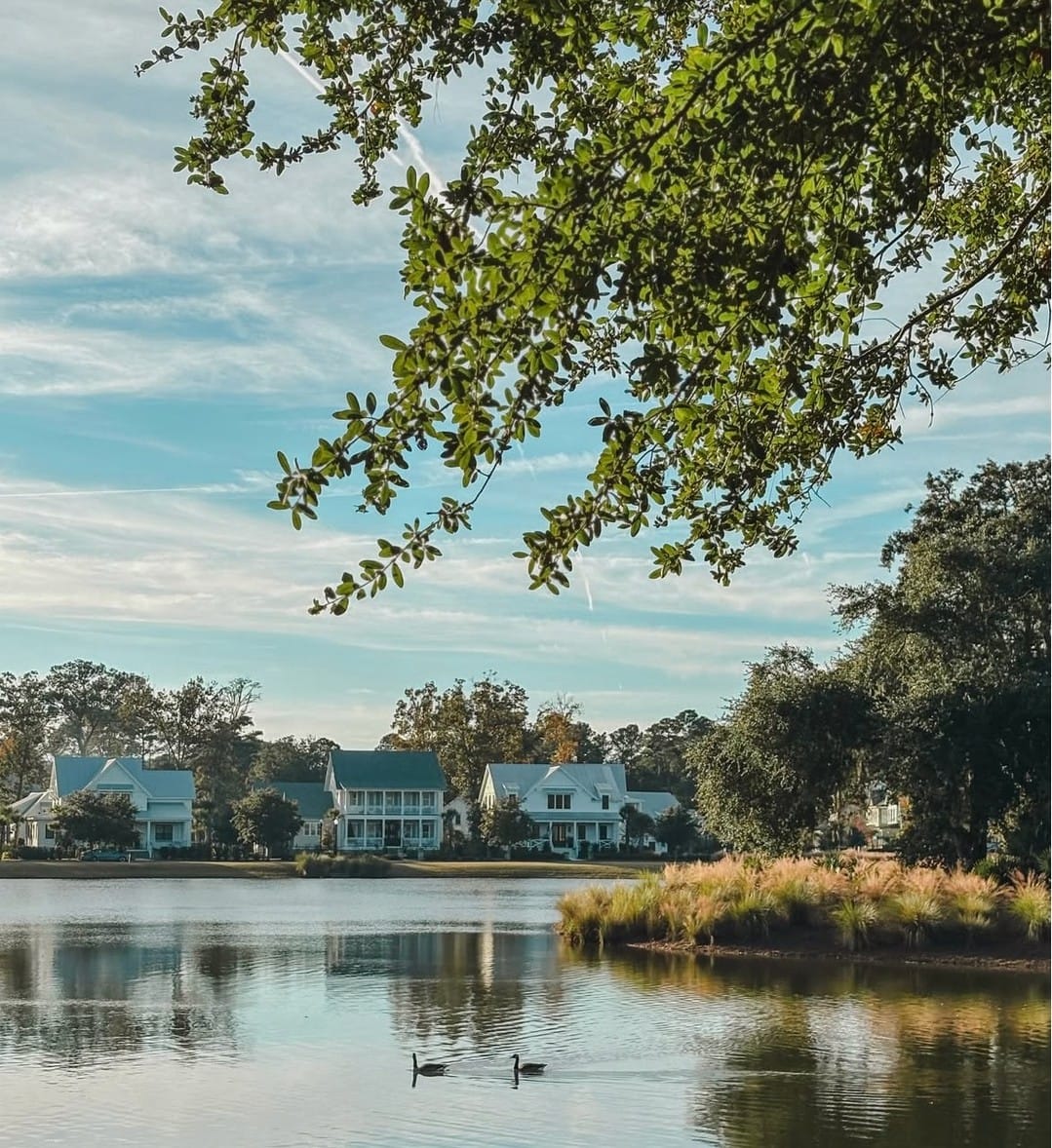 Post 4 by Carolina Park on Instagram (image)