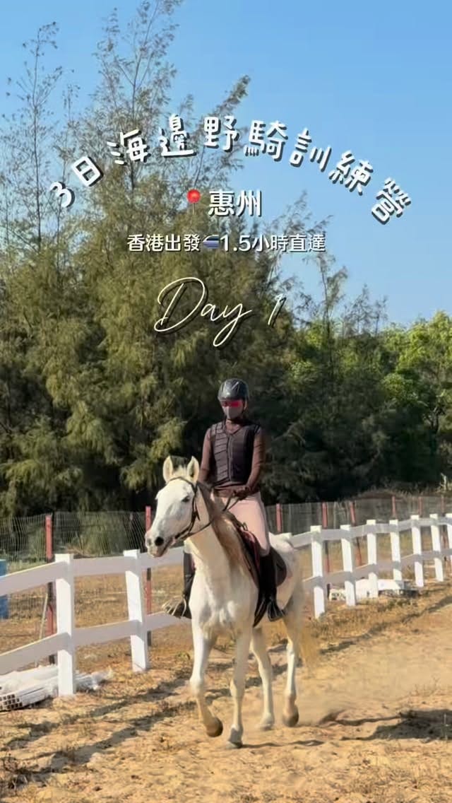 Post 6 by Cyndi C 思正 on Instagram (video)