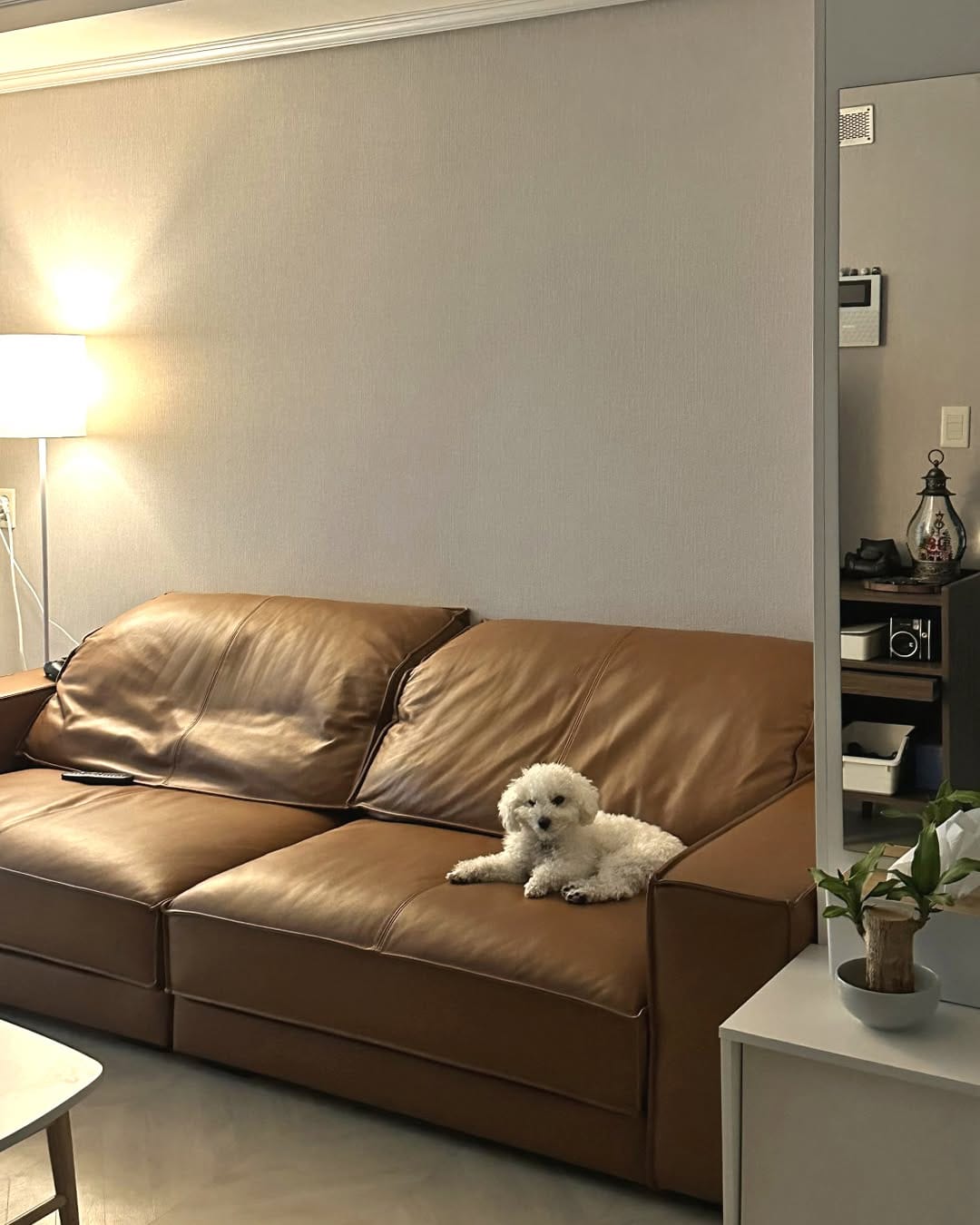 Post 8 by 건강한 원목가구, 예스우드 on Instagram (image)