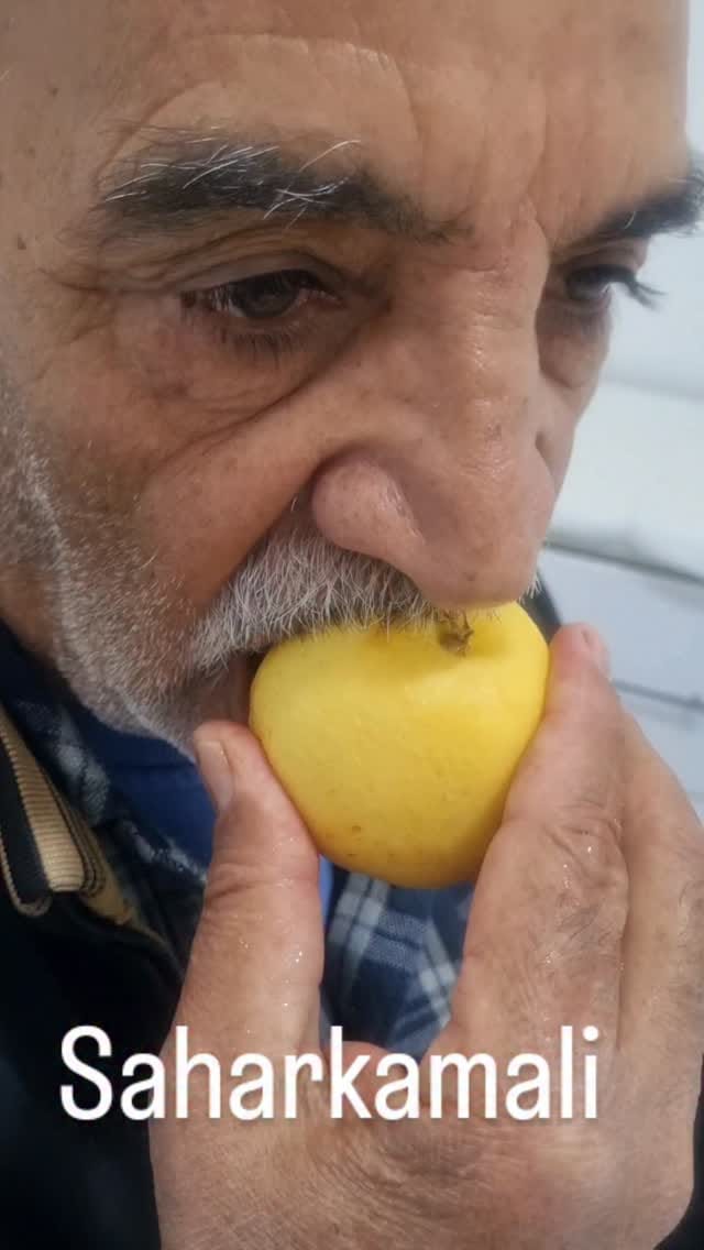 Post 3 by سحر کمالی🦷Saharkamali🌍akodentall on Instagram (video)