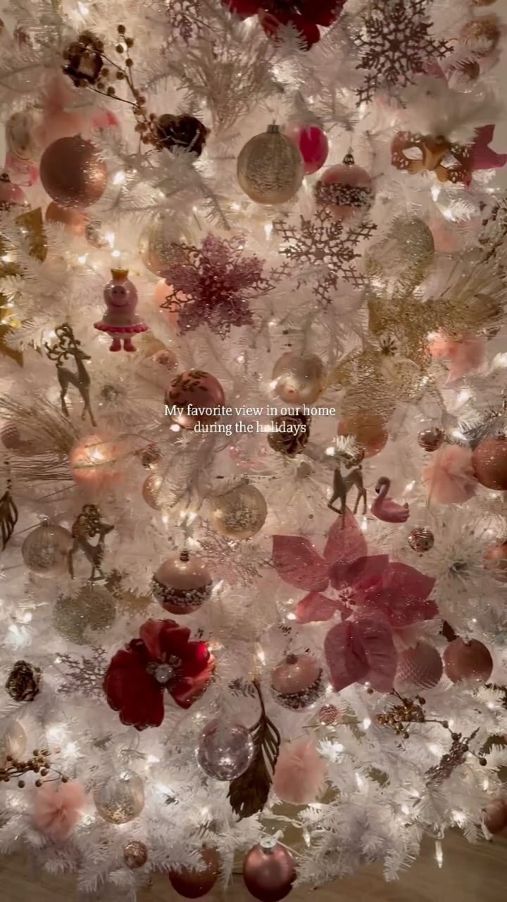 Post 2 by Feroza Ejaz on Instagram (video)