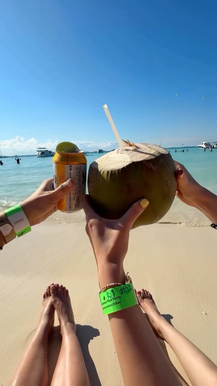 Post 4 by Alina Radulescu on Instagram (video)