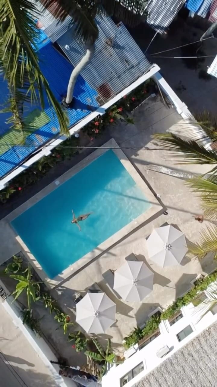 Post 9 by Tânia Santos | Criadora de Conteúdo on Instagram (video)