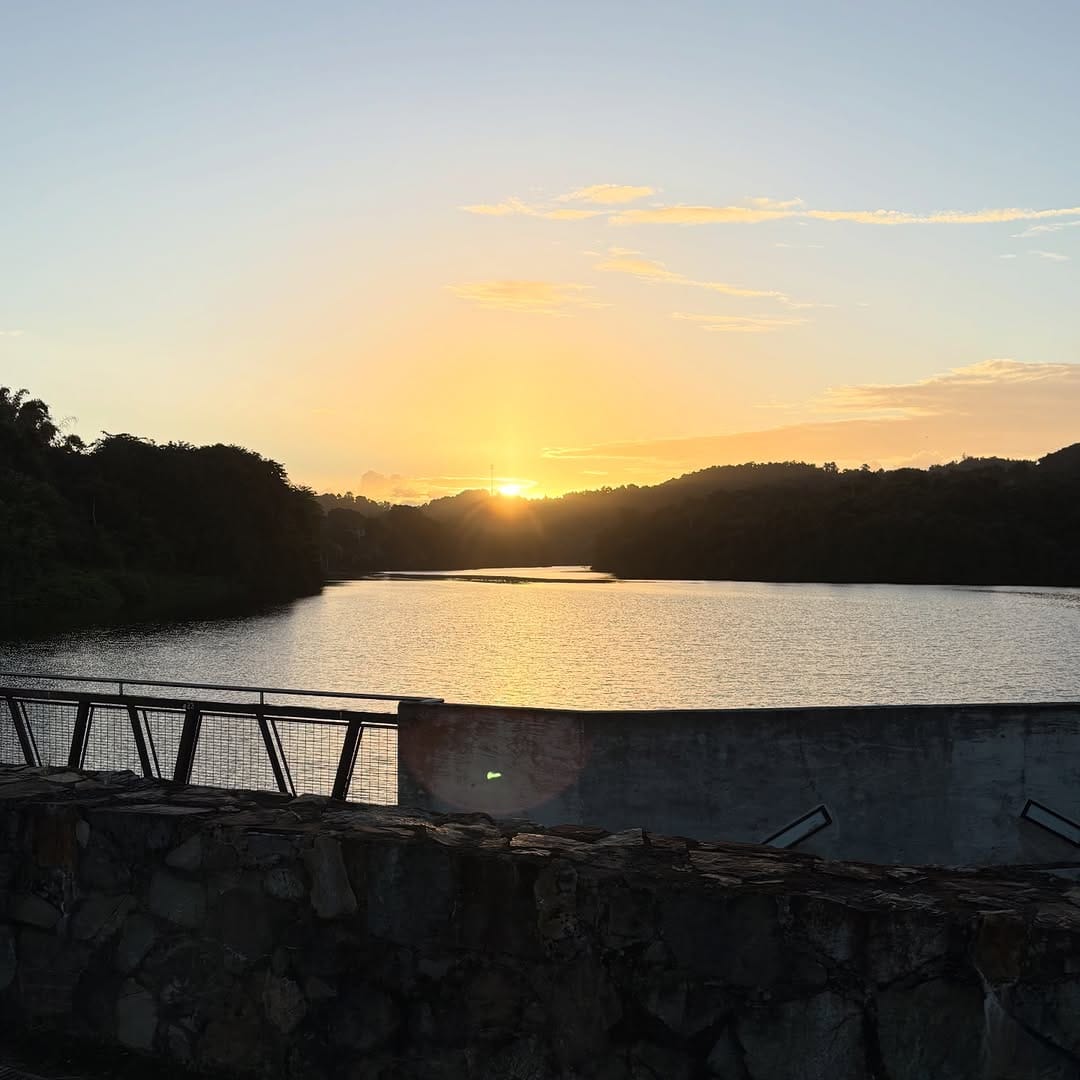 Post 7 by Johanna Godinez I Yoga School / Mentorship / Coaching on Instagram (image)