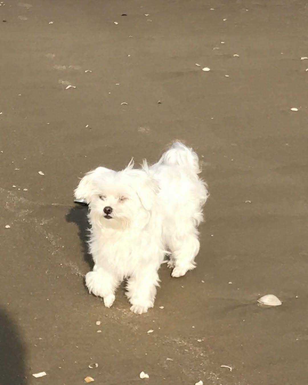 Post 4 by 🥇뷰티계의 트랜드세터 #상은언니 on Instagram (carousel)