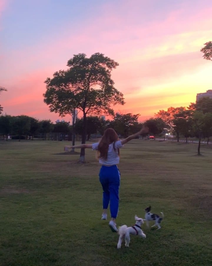 Post 10 by 🥇뷰티계의 트랜드세터 #상은언니 on Instagram (video)
