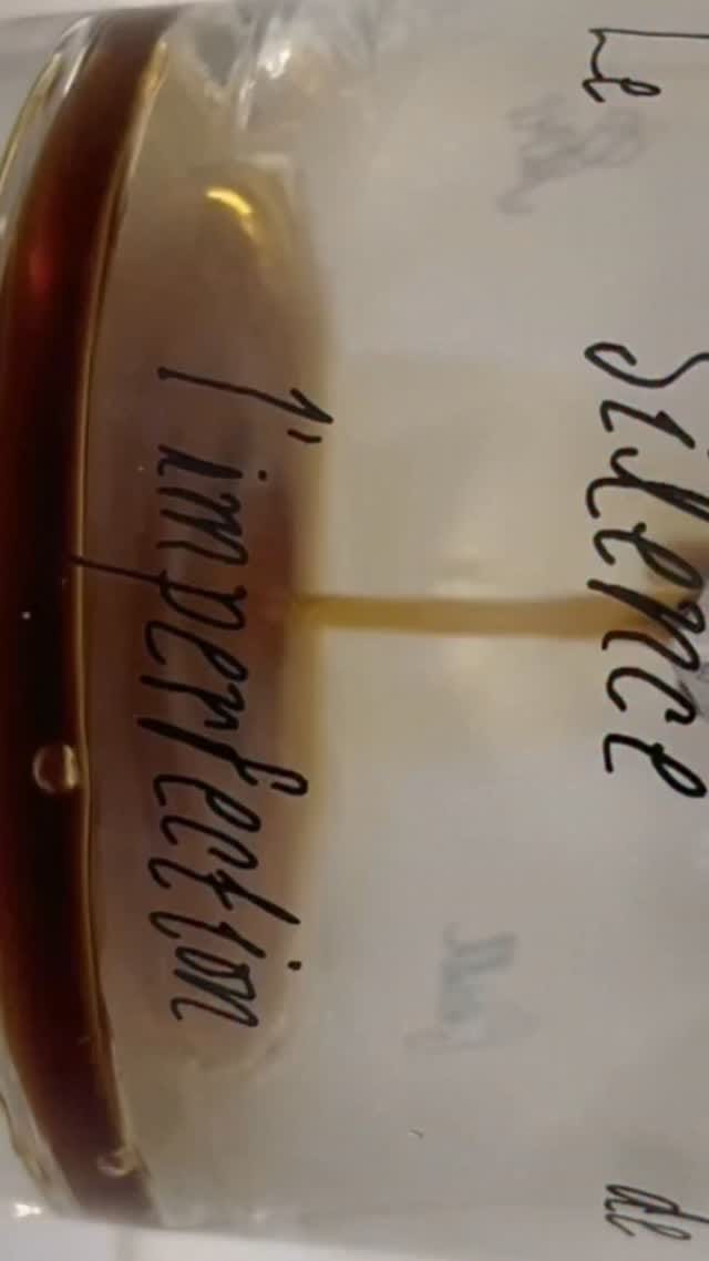 Post 9 by HÔTEL PARIS CHILL | 호텔 827 on Instagram (video)