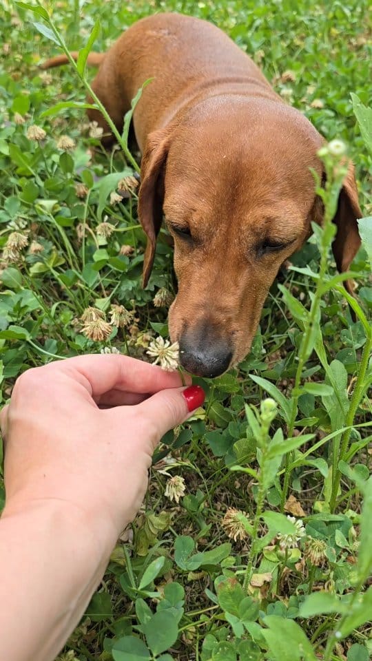 Post 3 by khrysmai on Instagram (video)