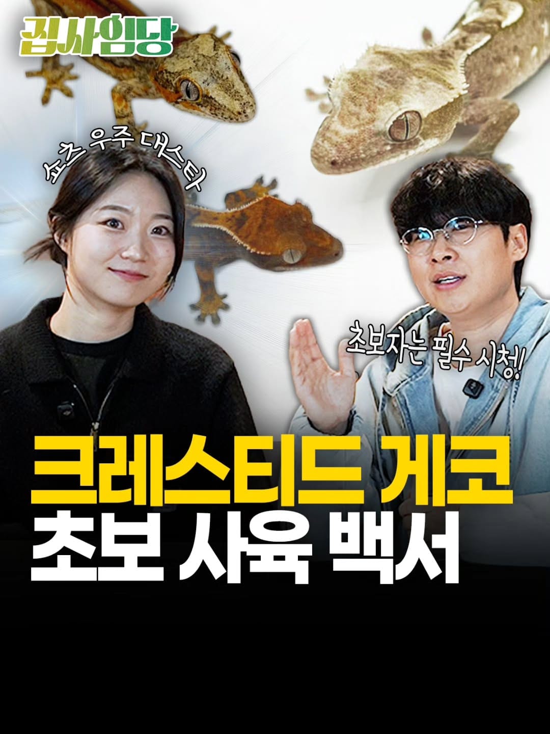 Post 6 by My age[도심속도마뱀] on Instagram (image)