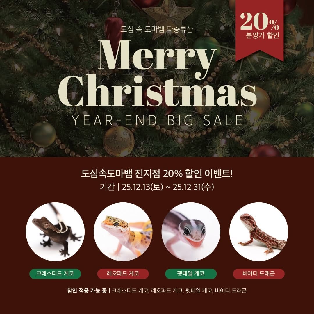 Post 8 by My age[도심속도마뱀] on Instagram (carousel)