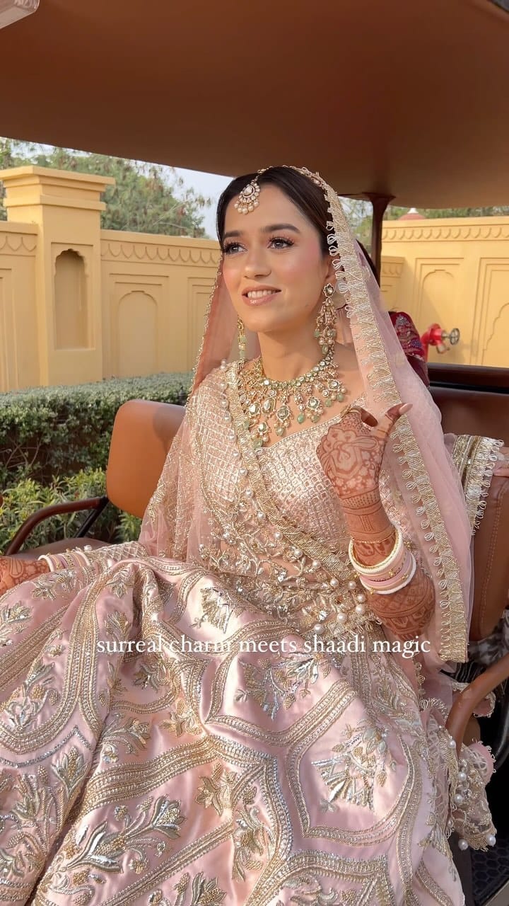 Post 10 by Himani Vijh Sethi on Instagram (video)