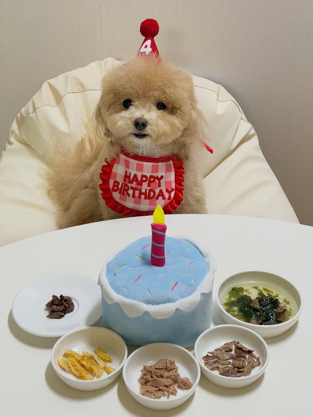 Post 2 by 말티푸 호랑이 on Instagram (carousel)